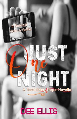 [Tantalizing Trope Novella 02] • Just One Night